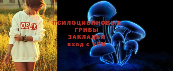 мдпв Заводоуковск